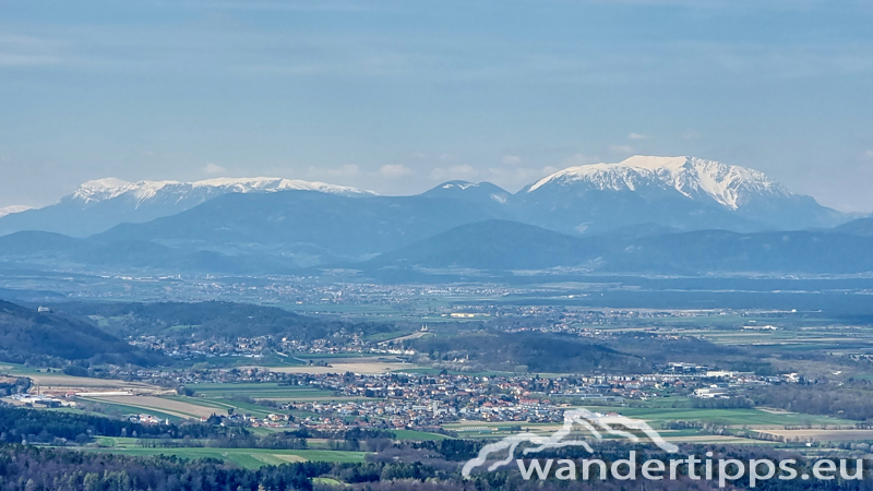 Steinkogel/Rosalia Abbildung 10