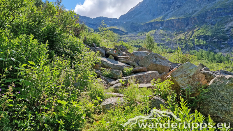 Zirmsee/Seebichl Abbildung 8