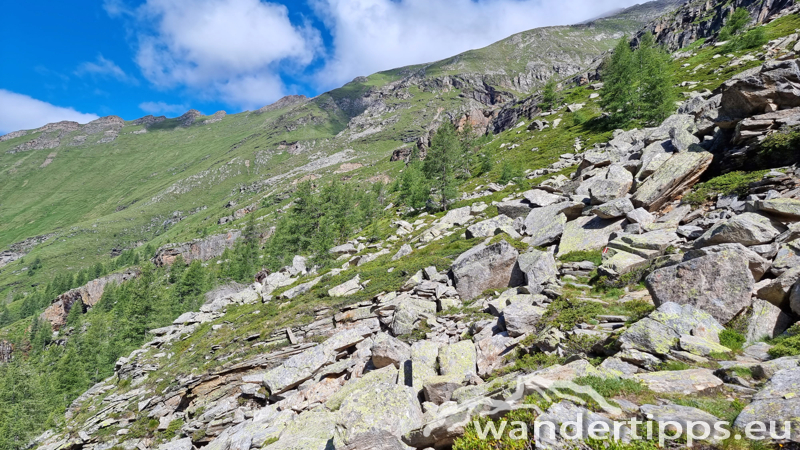 Zirmsee/Seebichl Abbildung 10