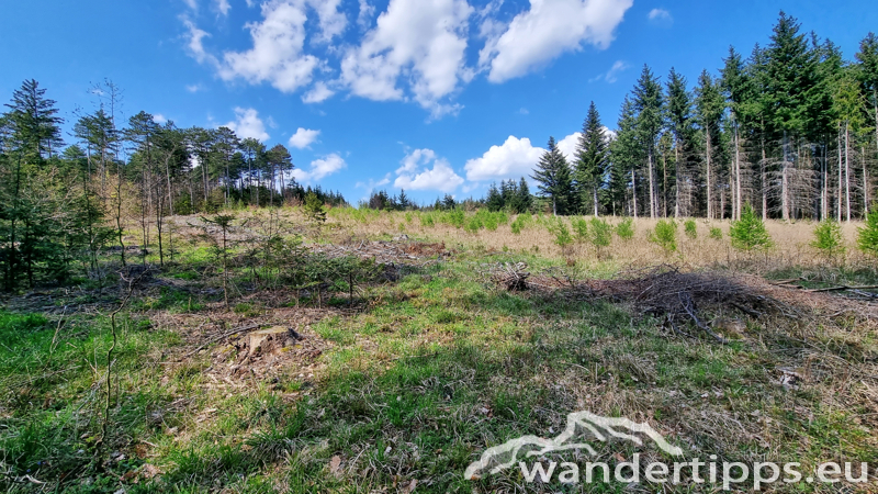 Größenberg Abbildung 16