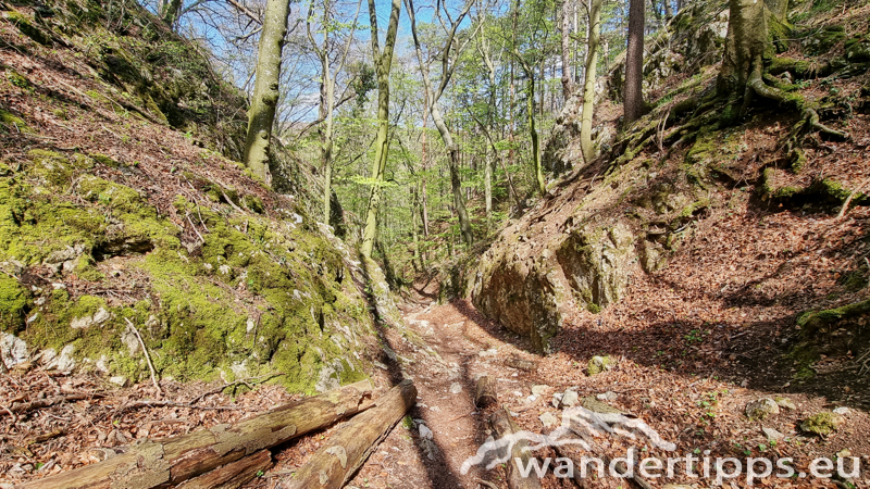 Größenberg Abbildung 17