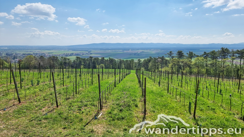 Größenberg Abbildung 7