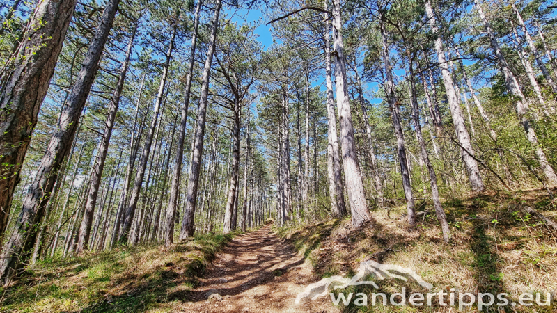 Größenberg Abbildung 9