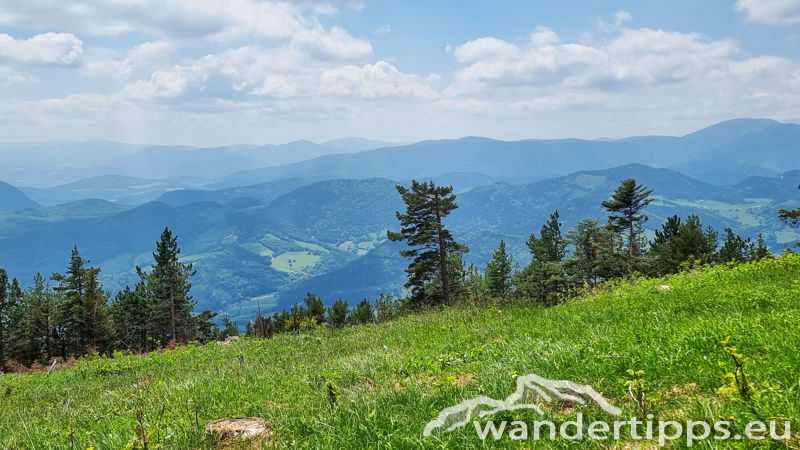 Plackles von Westen Abbildung 11