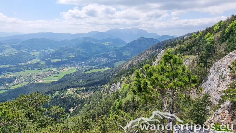 Plackles von Westen Abbildung 15