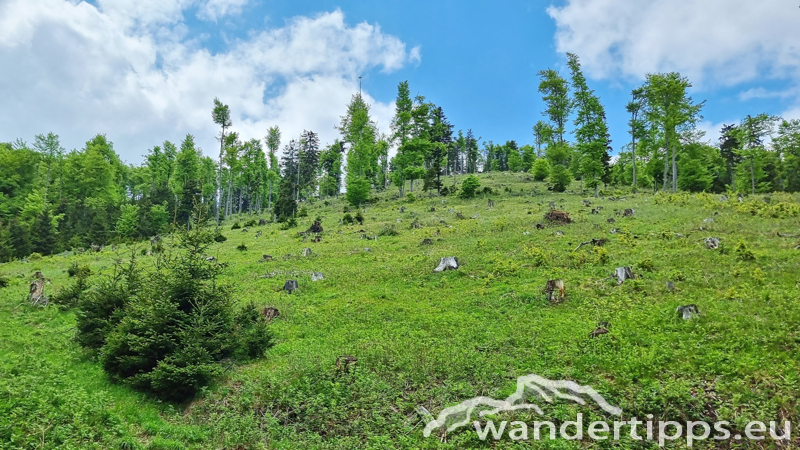 Plackles von Westen Abbildung 20