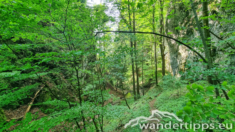 Plackles von Westen Abbildung 25