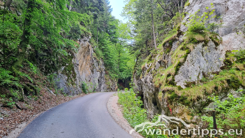 Plackles von Westen Abbildung 6