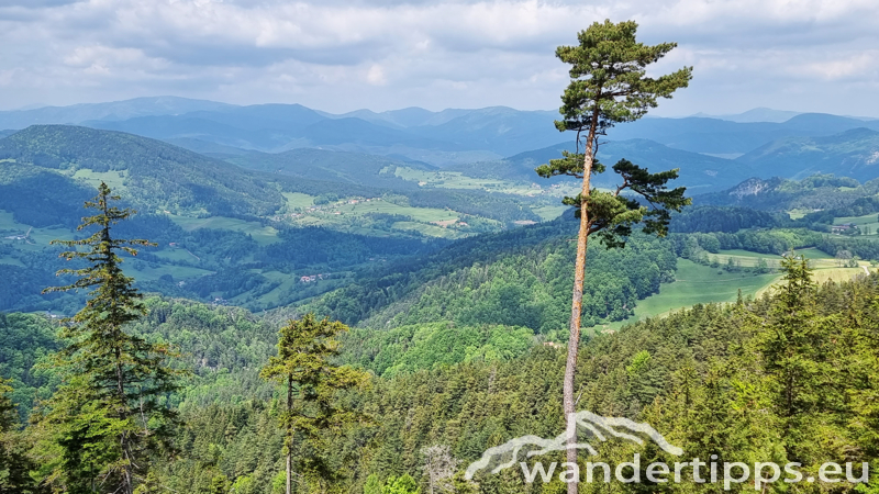 Plackles von Westen Abbildung 8