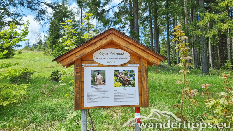 Plackles von Westen Abbildung 9