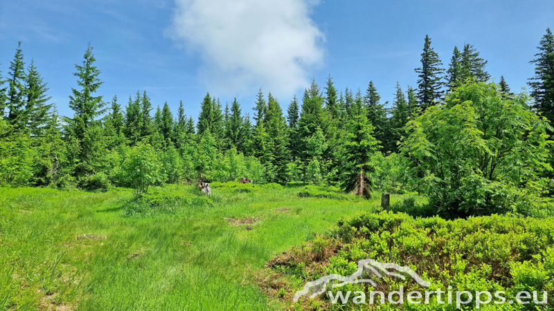 Eisnerkogel Abbildung 11