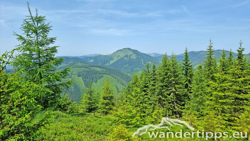 Eisnerkogel Abbildung 12