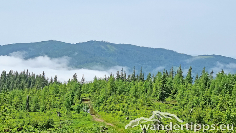 Eisnerkogel Abbildung 13