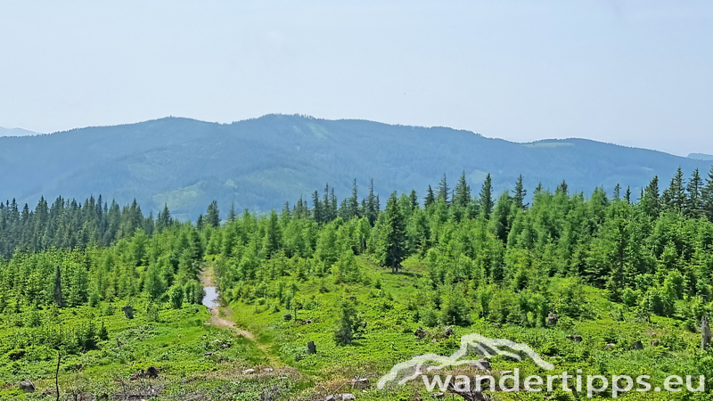 Eisnerkogel Abbildung 17