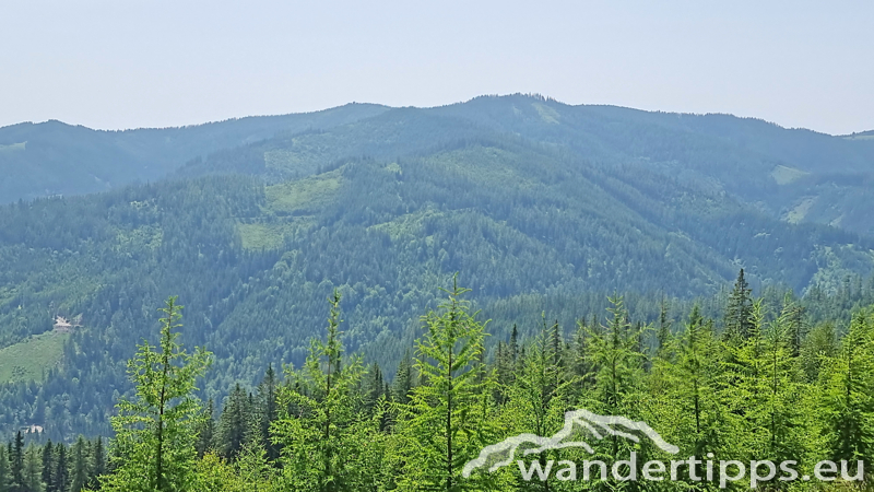 Eisnerkogel Abbildung 18