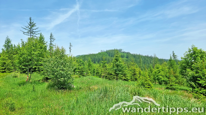 Eisnerkogel Abbildung 5