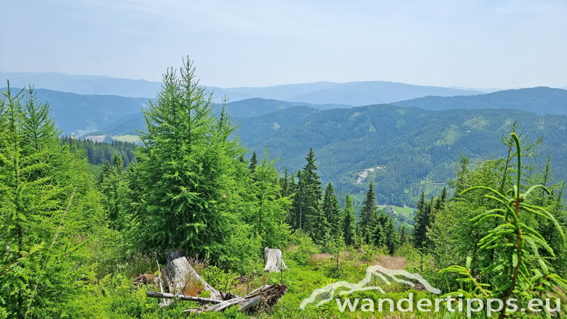 Eisnerkogel Abbildung 7