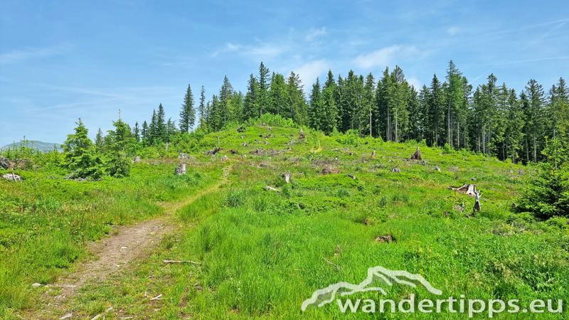 Eisnerkogel Abbildung 10