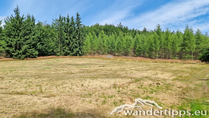 Ostrong von Westen/Gr. Peilstein Abbildung 11