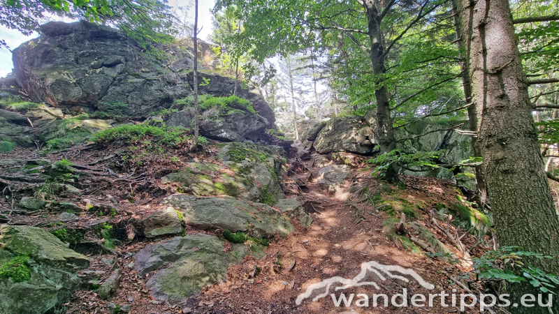 Ostrong von Westen/Gr. Peilstein Abbildung 13