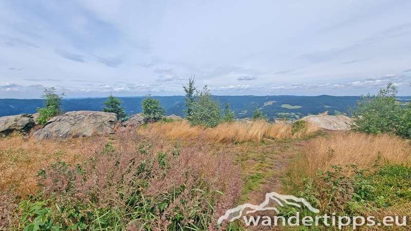 Ostrong von Westen/Gr. Peilstein Abbildung 19