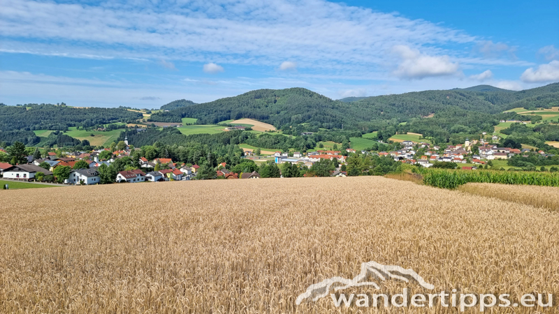 Ostrong von Westen/Gr. Peilstein Abbildung 23