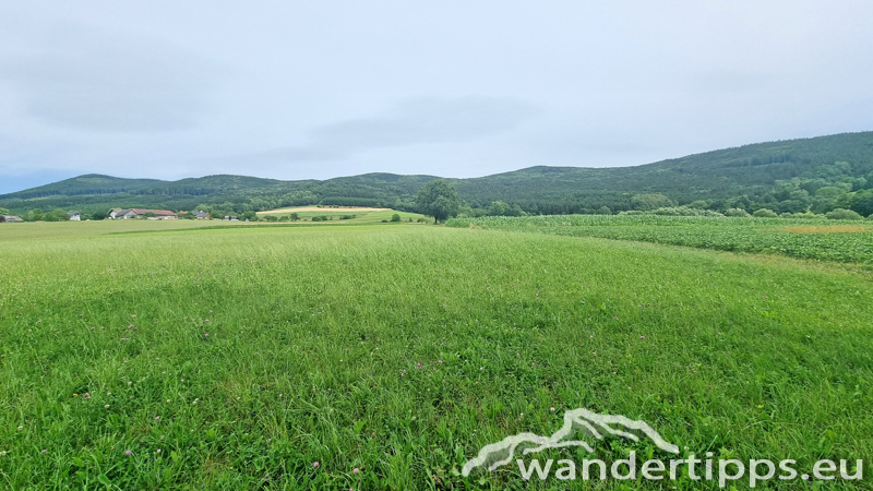 Ostrong von Westen/Gr. Peilstein Abbildung 4