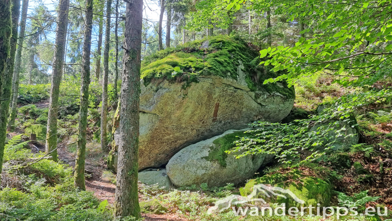 Ostrong von Westen/Gr. Peilstein Abbildung 8