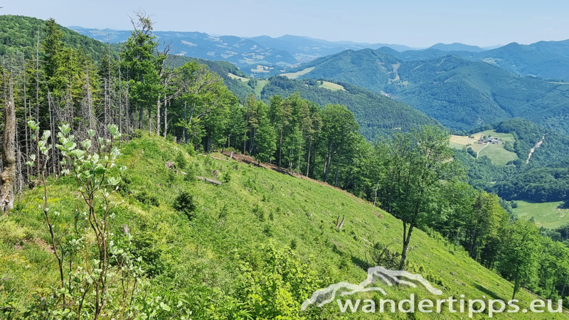 Lorenzipechkogel von Norden Abbildung 12