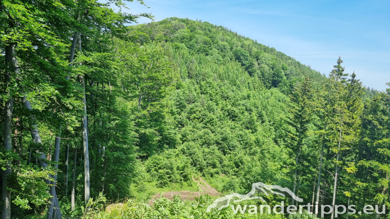 Lorenzipechkogel von Norden Abbildung 13