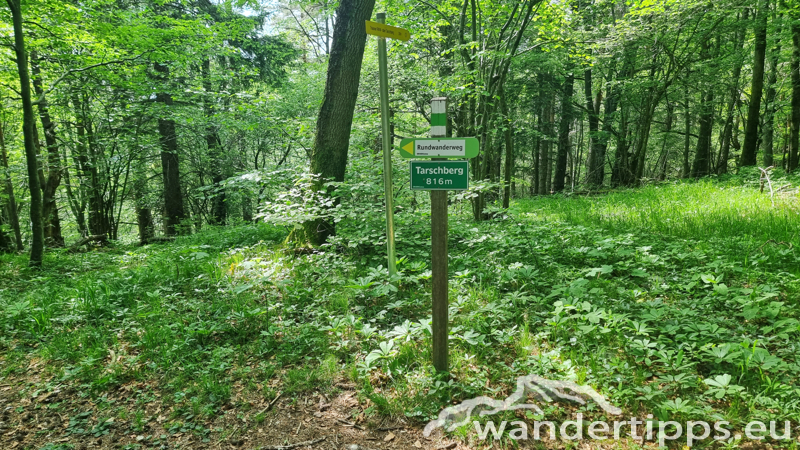 Lorenzipechkogel von Norden Abbildung 16