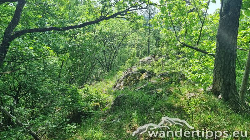 Lorenzipechkogel von Norden Abbildung 17