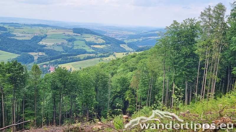 Lorenzipechkogel von Norden Abbildung 19