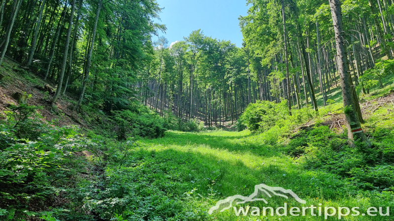 Lorenzipechkogel von Norden Abbildung 5