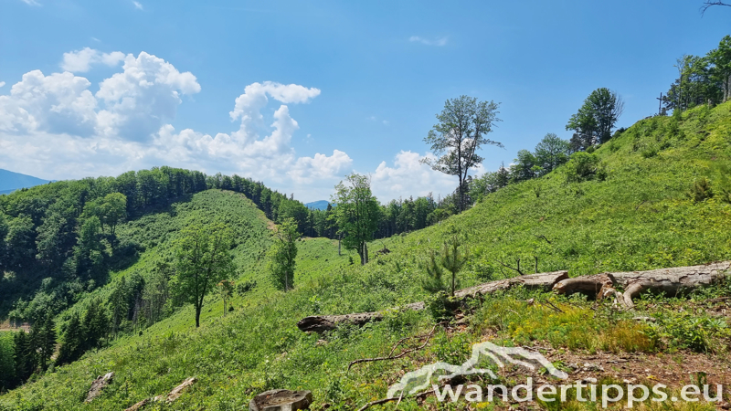 Lorenzipechkogel von Norden Abbildung 7