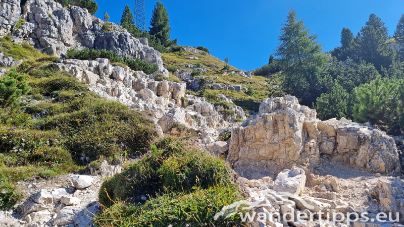 Monte Campedelle/Rif. Auronzo Abbildung 8