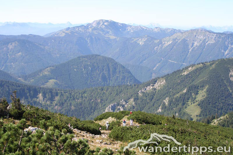 Ötscher Abbildung 6