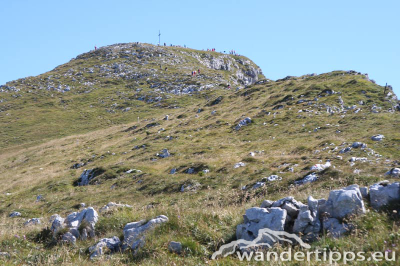 Ötscher Abbildung 7