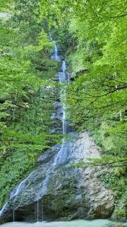 Hochbärneck Abbildung 6