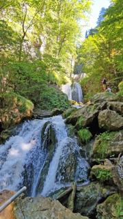 Hochbärneck Abbildung 7