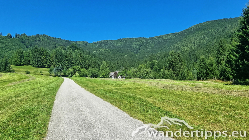 Hochbärneck Abbildung 12