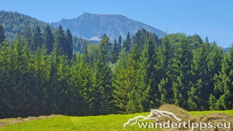 Hochbärneck Abbildung 13