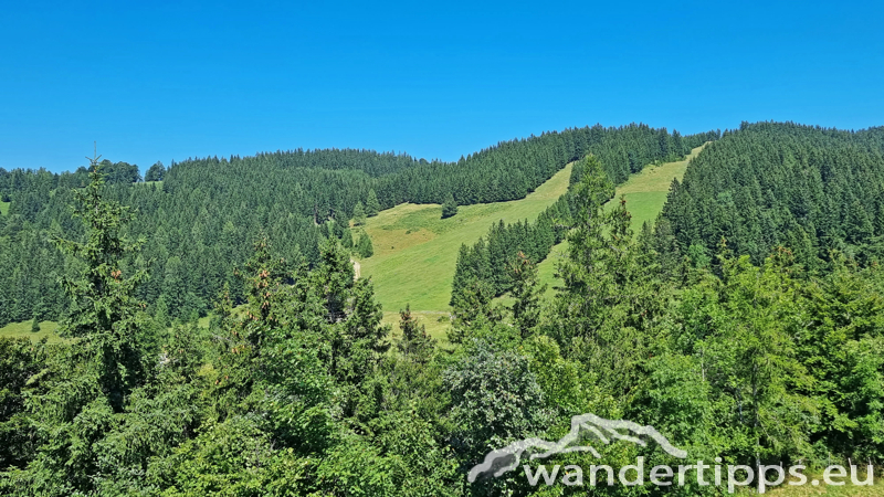 Hochbärneck Abbildung 19