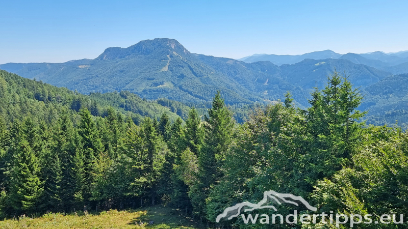 Hochbärneck Abbildung 20