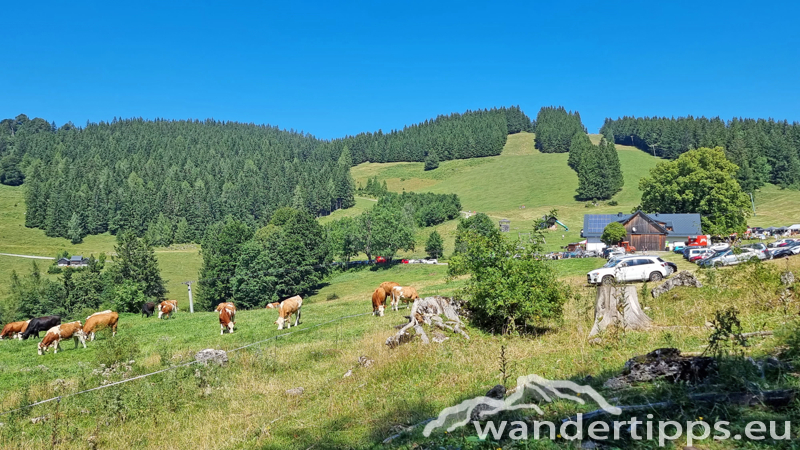 Hochbärneck Abbildung 23