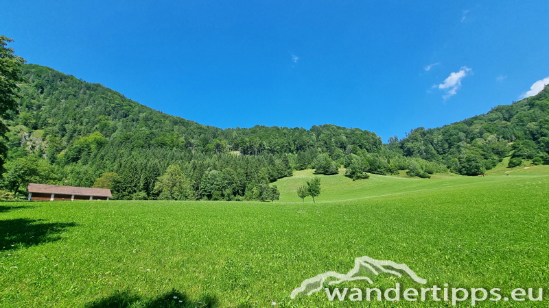 Hochbärneck Abbildung 26