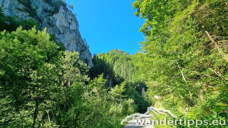 Hochbärneck Abbildung 27