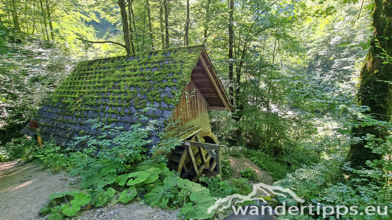 Hochbärneck Abbildung 4