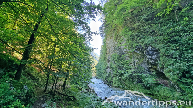 Hochbärneck Abbildung 5