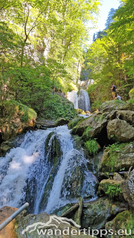 Hochbärneck Abbildung 7